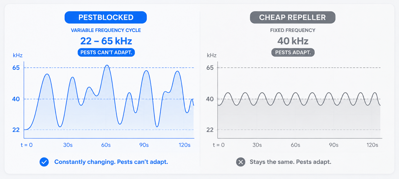 Why pests can't adapt to PestBlocked